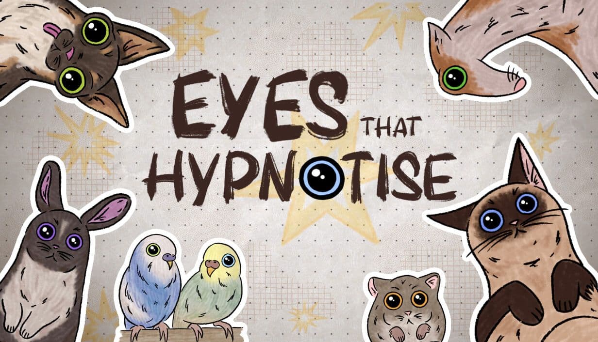 Eyes That Hypnotise poster
